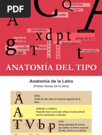 Partes de la Anatomía de la Letra | PDF