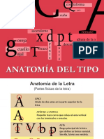 Anatomiadeltipo 170408025515