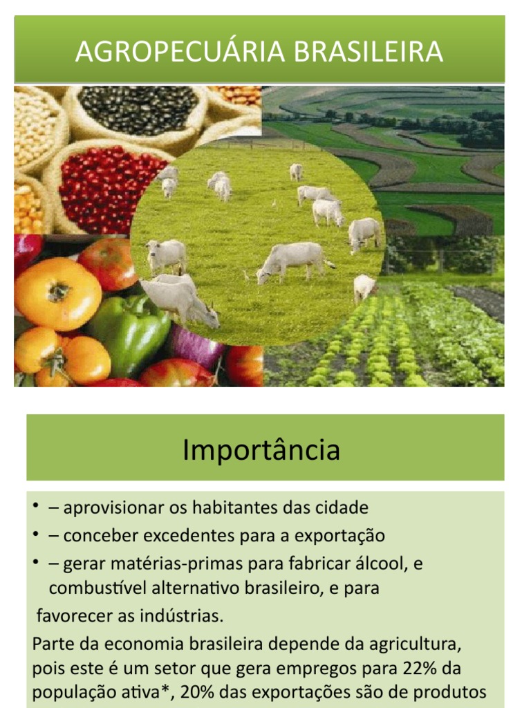 Importância da Agropecuária Brasileira | PDF | Solo | Agricultura