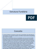 Estrutura Fundiária