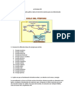 SEMANA 5 - ACTIVIDAD 5-2021 Hecho