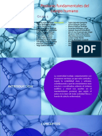 Grupo 2 - Posturas Fundamentales Del Cuerpo Humano