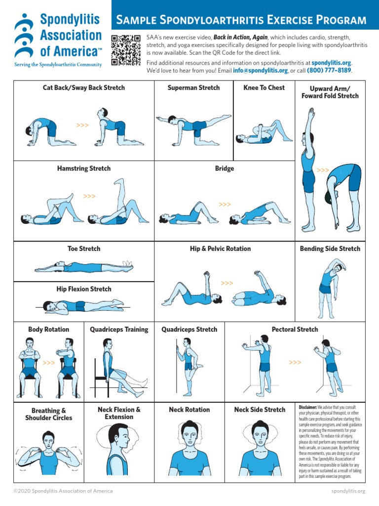 SAA Exercise Flyer 8.5x11 Update WEB, PDF, Anatomical Terms Of Motion