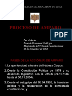 PROCESO DE AMPARO - BEAUMONT CALLIRGOS