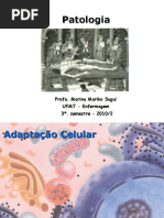 Download Aula 2- Adaptao Celular1 by Pam Regina SN52020828 doc pdf