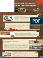 Infografía Biorremediación de Suelos para Cultivos Contaminados