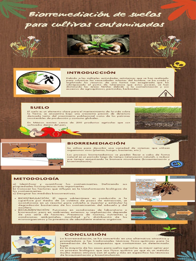 Infografía Biorremediación de Suelos para Cultivos Contaminados | PDF ...