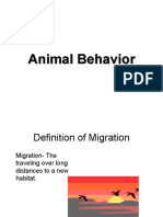 Animal Behaviorg