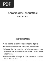 13.2 Chromosomal Abberation Numerical