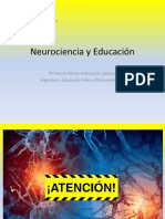 Neurociencia atención educación