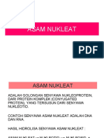 07 Asam-Nukleat