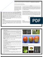 Articulo de Revisión Fisiología