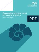 Prisoner Depression and Low Mood