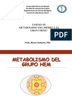 Metabolismo Del Grupo Hemo