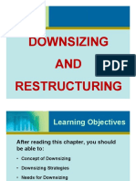 Chapter - 10 - Downsizing & Restructuring