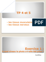 TP4-5 muscles - nerfs