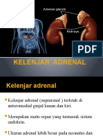 Kelenjar Adrenal