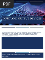 Input and Output Devices