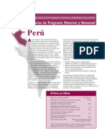 Peru MNPI