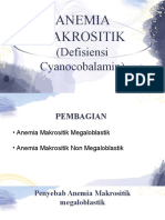 Anemia Makrositik