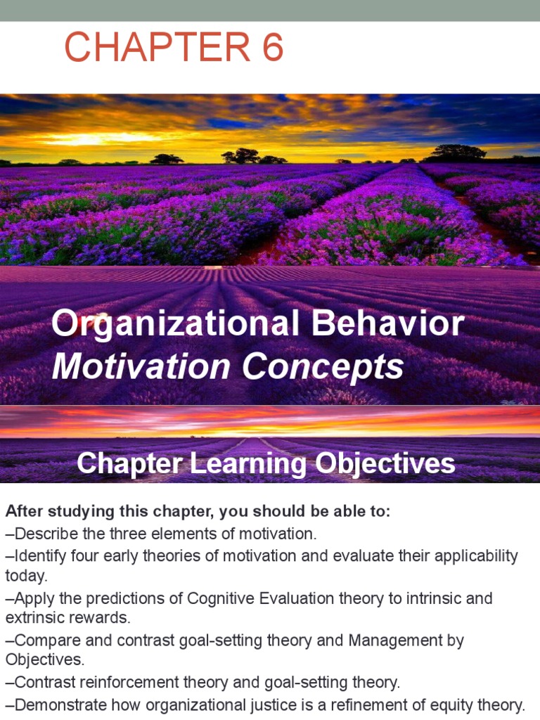Understanding Motivation Theories in Organizations | PDF | Motivation ...