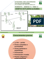 Mejoramiento en Alogamas