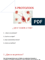 Los Protozoos