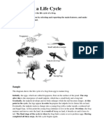 Describing A Life Cycle: Sample