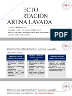 Proyecto Expo Arena Lavada 3
