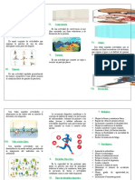 Actividad Física