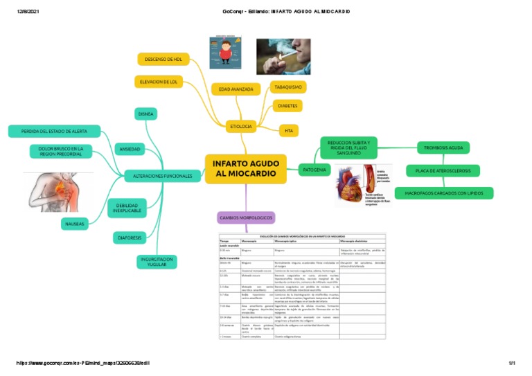 iam-mapa-mental-pdf