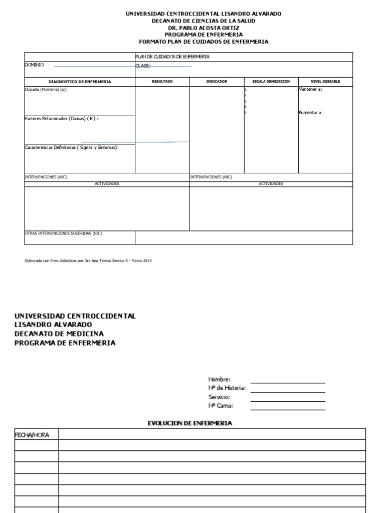 Formato de Plan de Cuidados de Enfermería | PDF