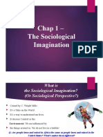 Chap 1 - The Sociological Imagination, Online, SUM 20