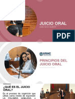 Juicio Oral Proceso