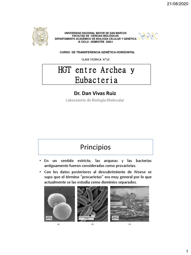 HGT Entre Archea y Eubacteria: Principios | PDF | Archaea | Bacteria