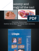2-2 Anatomy Physiology Nail