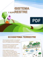 2ecosistematerrestre1-131019214638-phpapp02