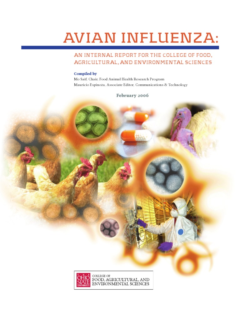 Avian Influenza | PDF