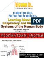 Anatomy and Physiology Respiratory PPt