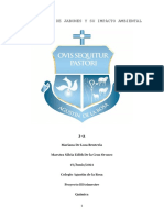 Elaboración de Jabones y Su Impacto Ambiental