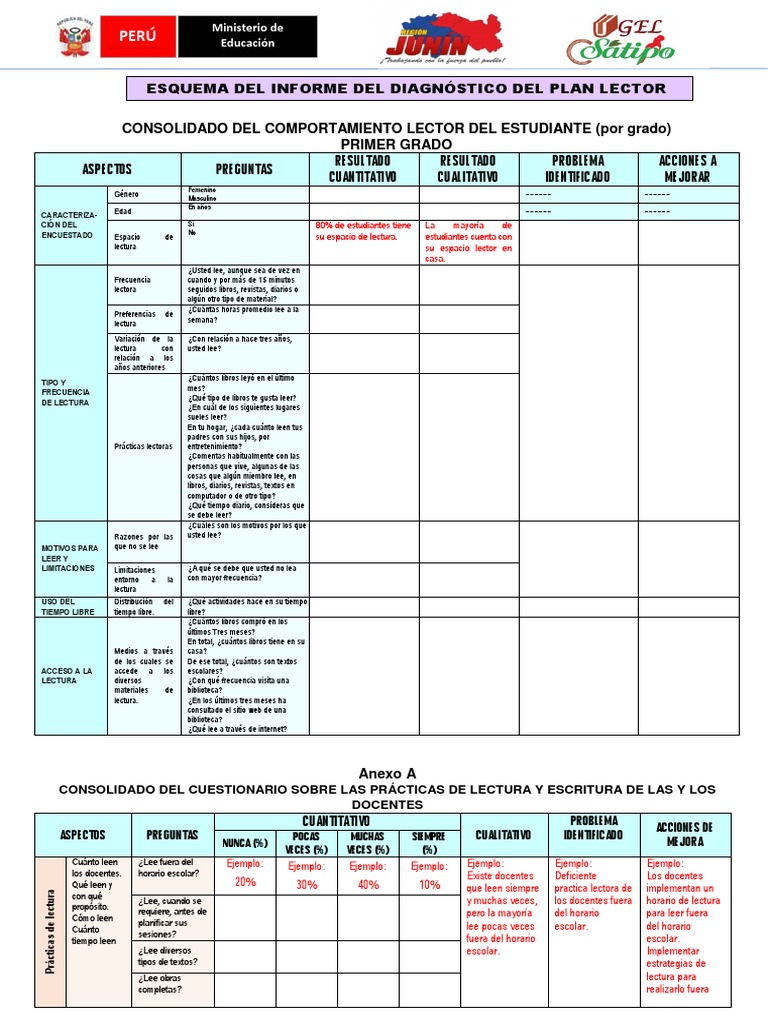 Informe Del Diagnóstico Del Plan Lector Pdf