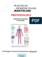 187178_revisi Protozologi - Praktikum Blok 4 – Biomedik Dasar Parasitologi 2020