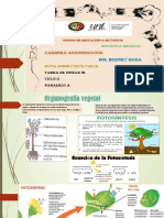 TAREA U3 Botanica - Compressed