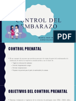 Control Del Embarazo