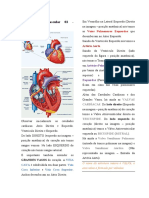 Sistema Cardiovascular03 - Fisiologia