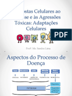 Aula 1 - Adaptações Celulares. - Patologia