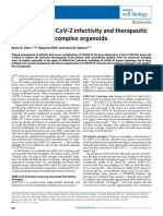 Investigación - Covid