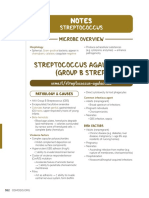 Streptococcus Agalactiae (Group B Strep) : Notes