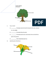 3rd Grade Natural Science Unit 2 Review