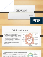 The Structure and Functions of the Chorion Membrane